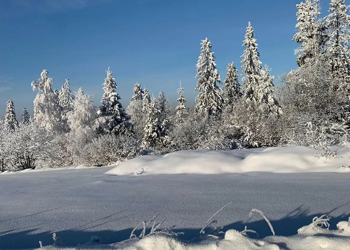 Casa vacanze Z Widokiem Jacuzzi Klikuszowa